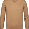 Truien Van Merino Wol Profuomo Pullover V-Hals Merinowol Beige